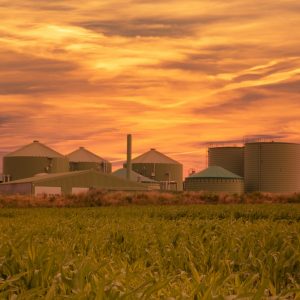 Biogas Anlage in Schleswig Holstein bei einem Sonnenuntergang Biogas Anlage