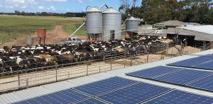 commercial solar company