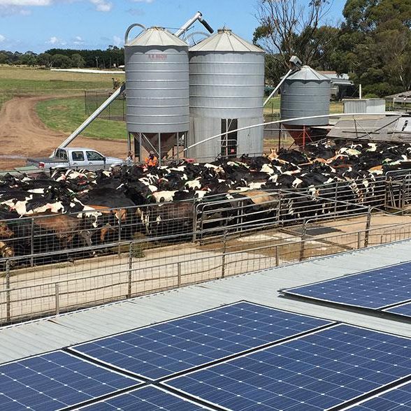 commercial solar company